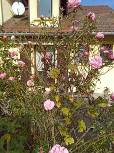 Location gîte pour un séjour ressourçant en pleine nature 