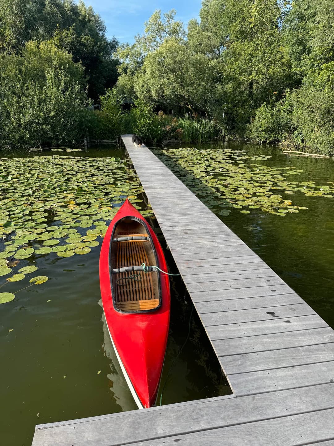 Maison au bord d’un lac avec canoé et barbecue en plein air