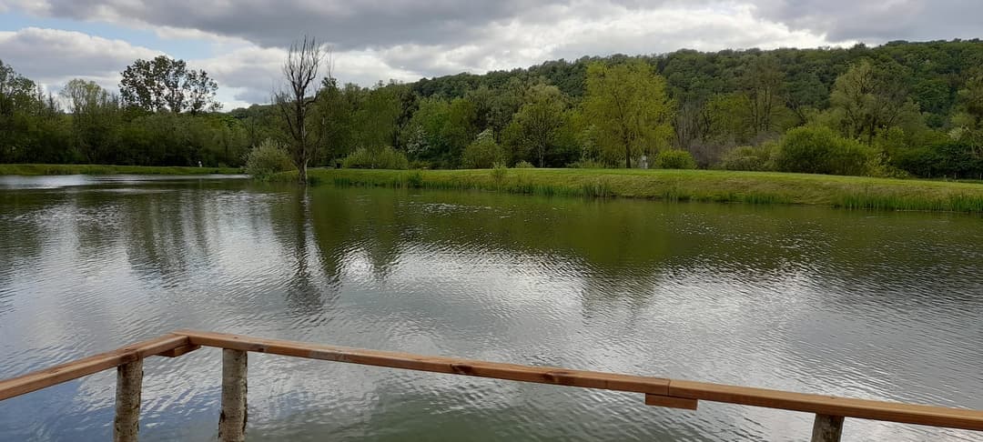 Logement insolite au bord de l’eau 