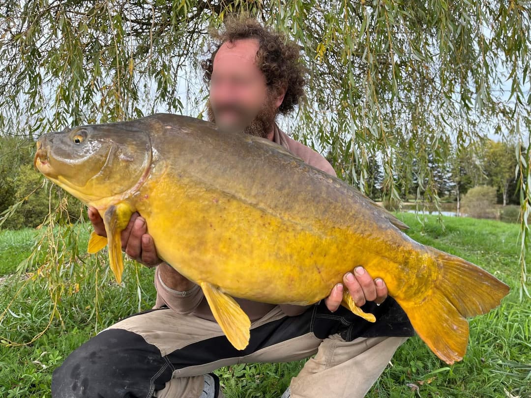 Poste de pêche en biwi / journée de pêche carnassier 