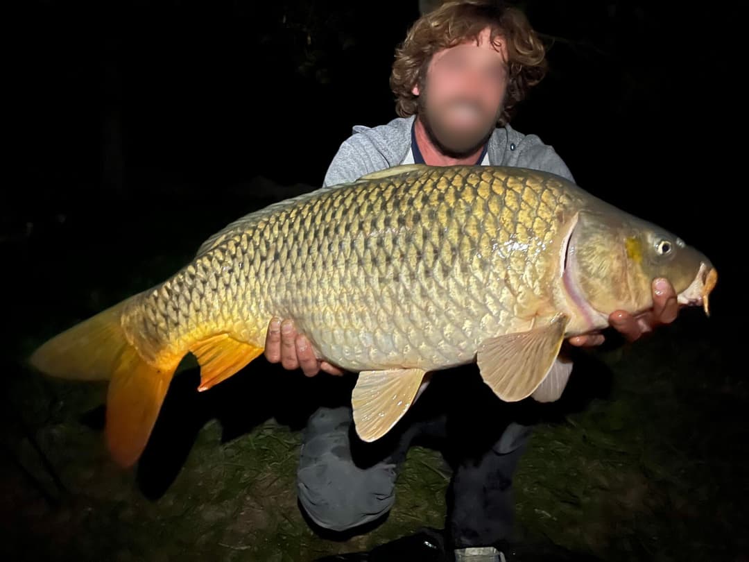 Poste de pêche en biwi / journée de pêche carnassier 