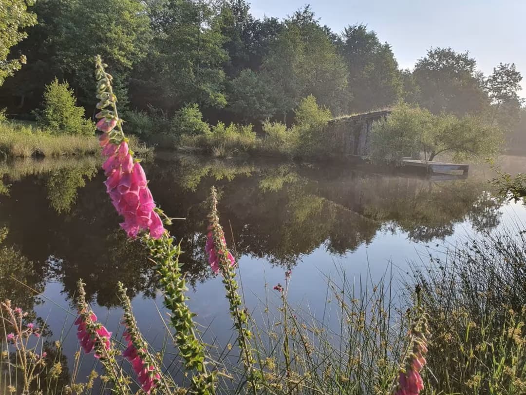 Cabane insolite au bord d’un étang privé