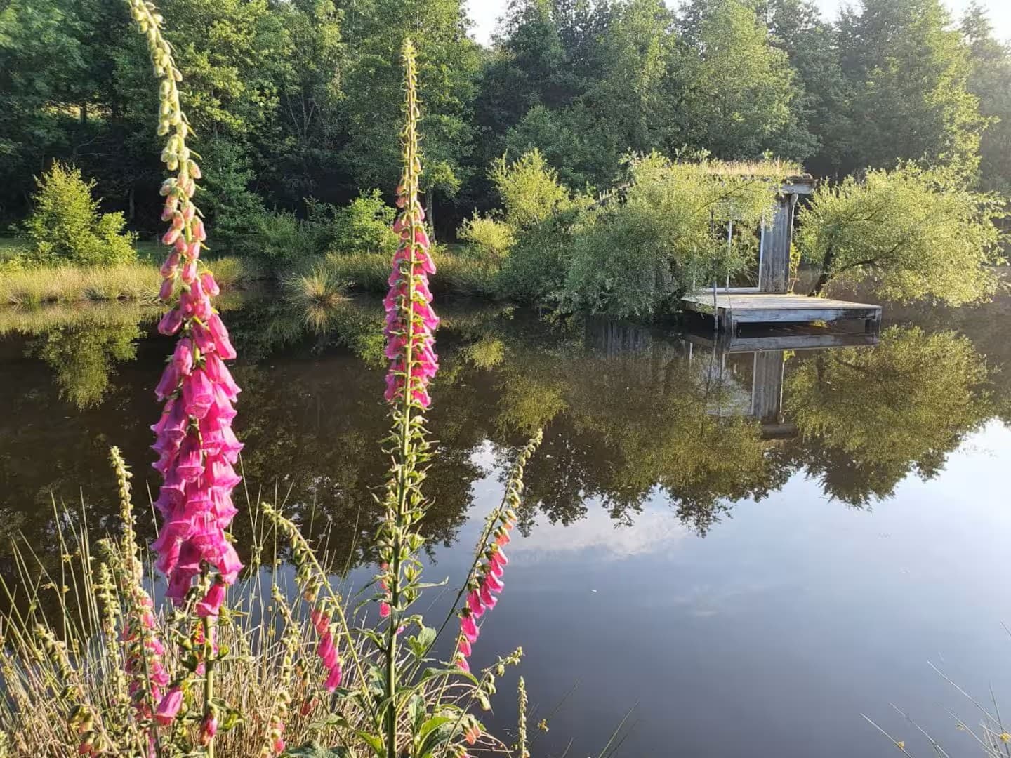 Cabane insolite au bord d’un étang privé