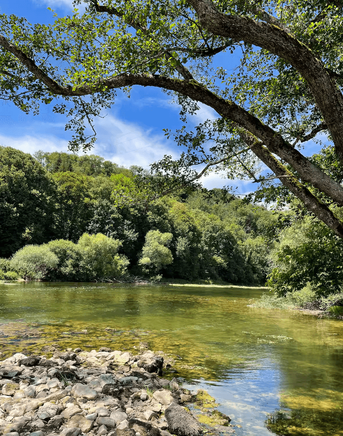 Chalet cosy au bord d’une rivière 