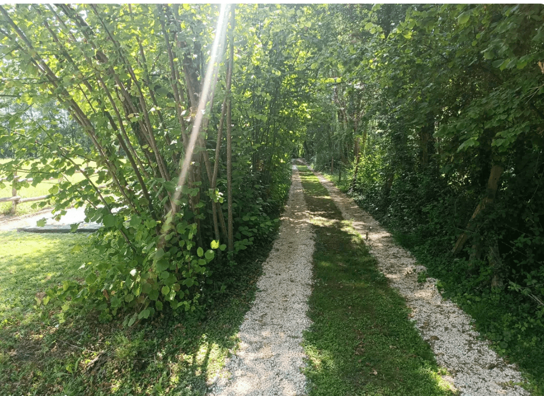 Gîte avec ponton privatif et accès au bord de rivière 