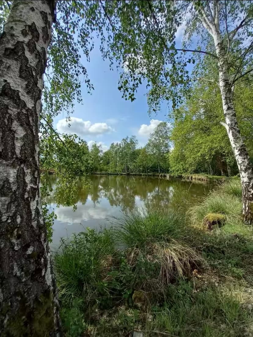 Chalet en bord d’un étang privé dans le Limousin 