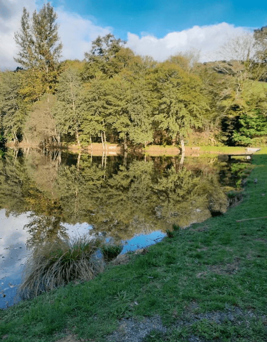 Initiation pêche au bord d’un étang privé 