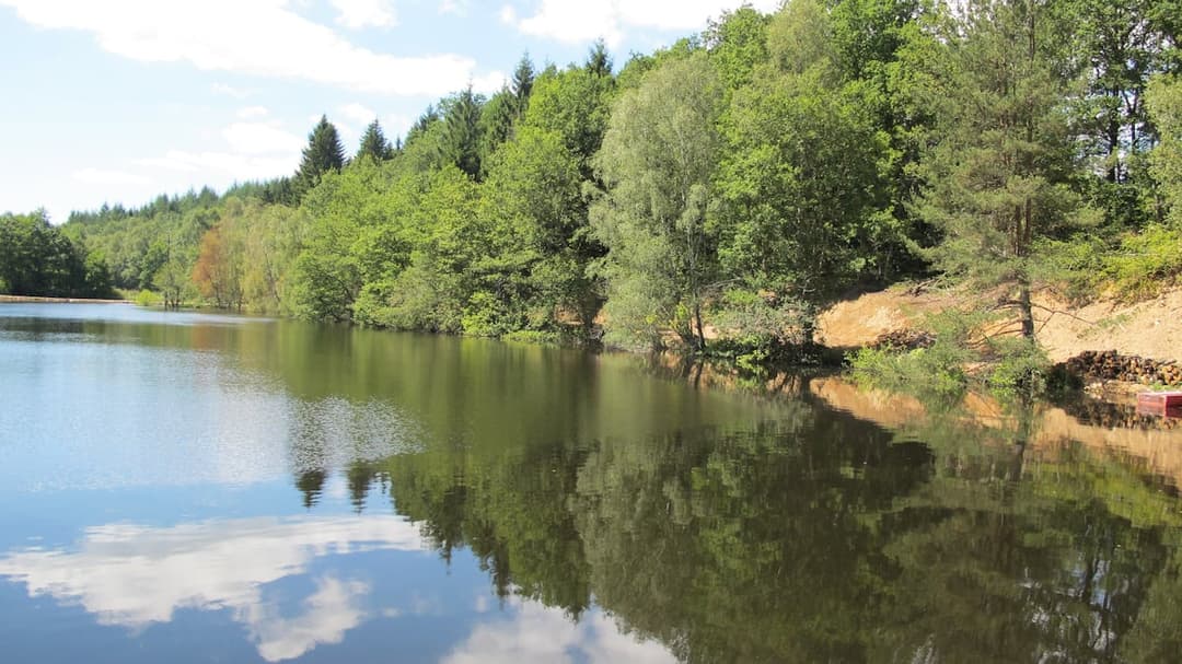 Chalet au bord d’un étang de 1.5 ha 