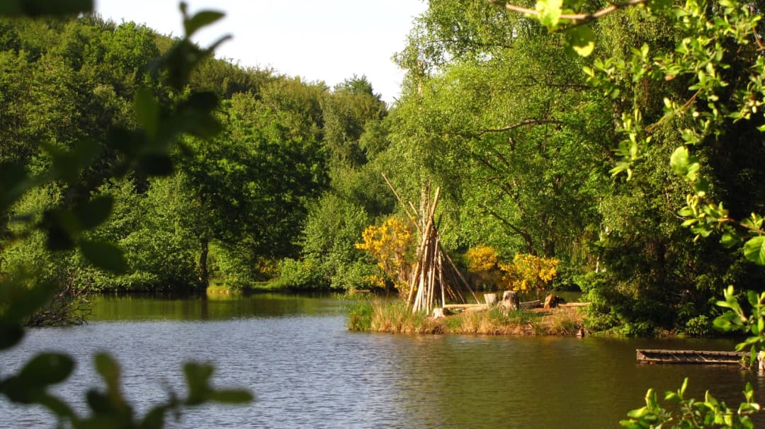 Chalet au bord d’un étang de 1.5 ha 