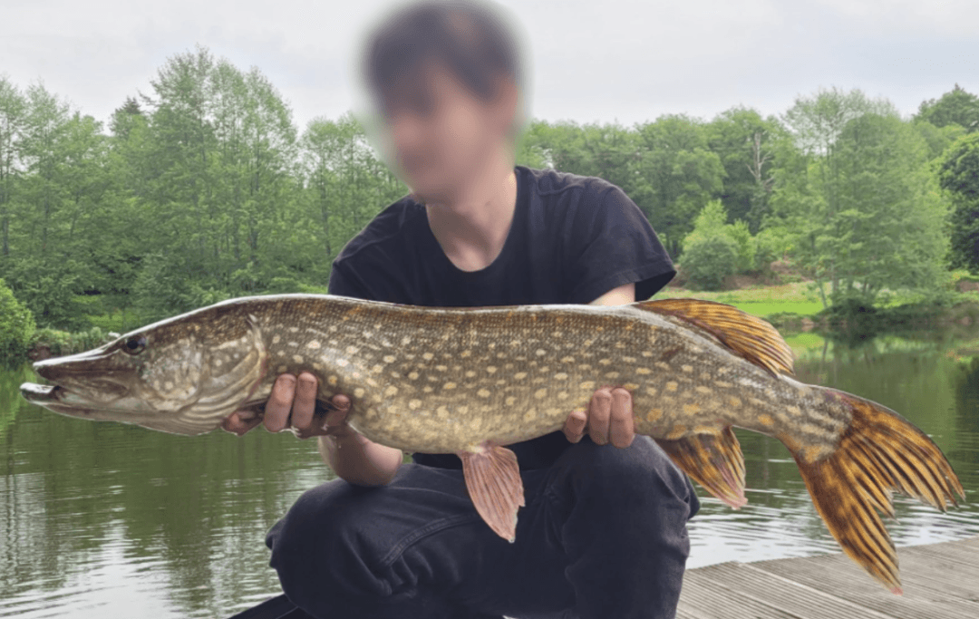 Gite et 2 cabanes avec accès à un étang privé 