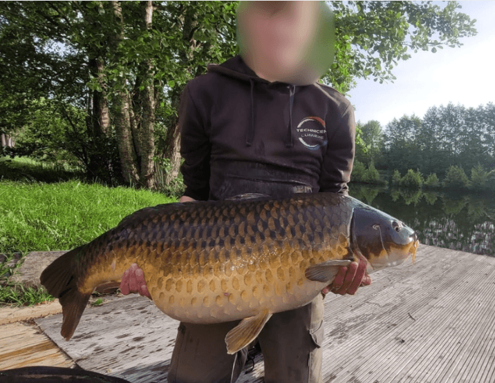 Gite et 2 cabanes avec accès à un étang privé 