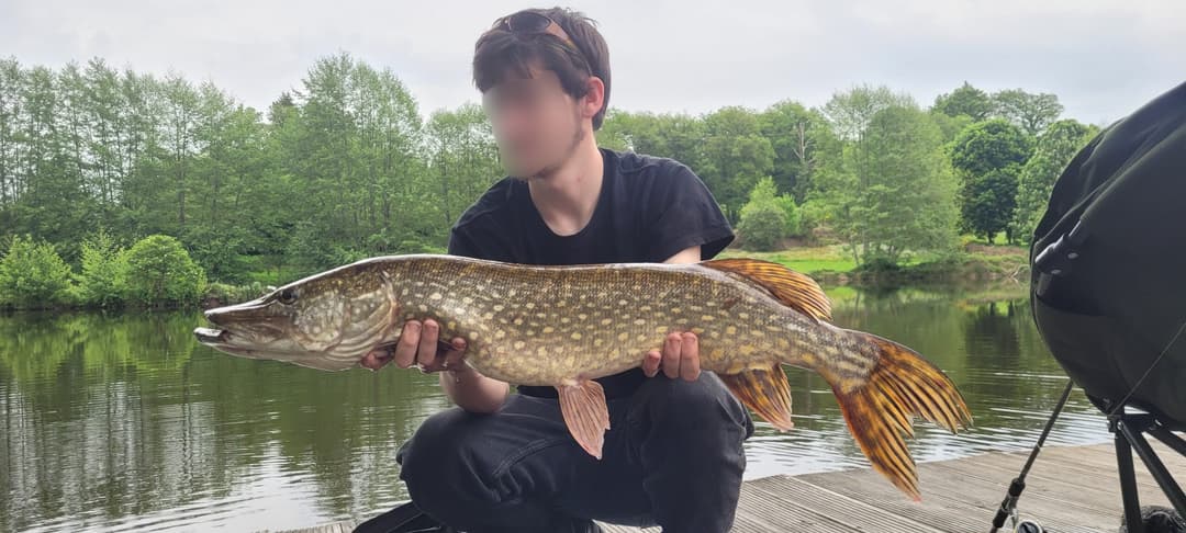 Cabane de pêche avec accès à un étang privé poste 2 