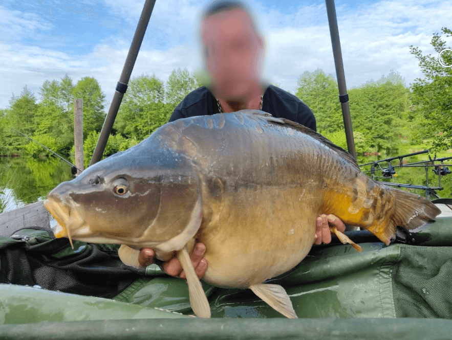 Gite et 2 cabanes avec accès à un étang privé 