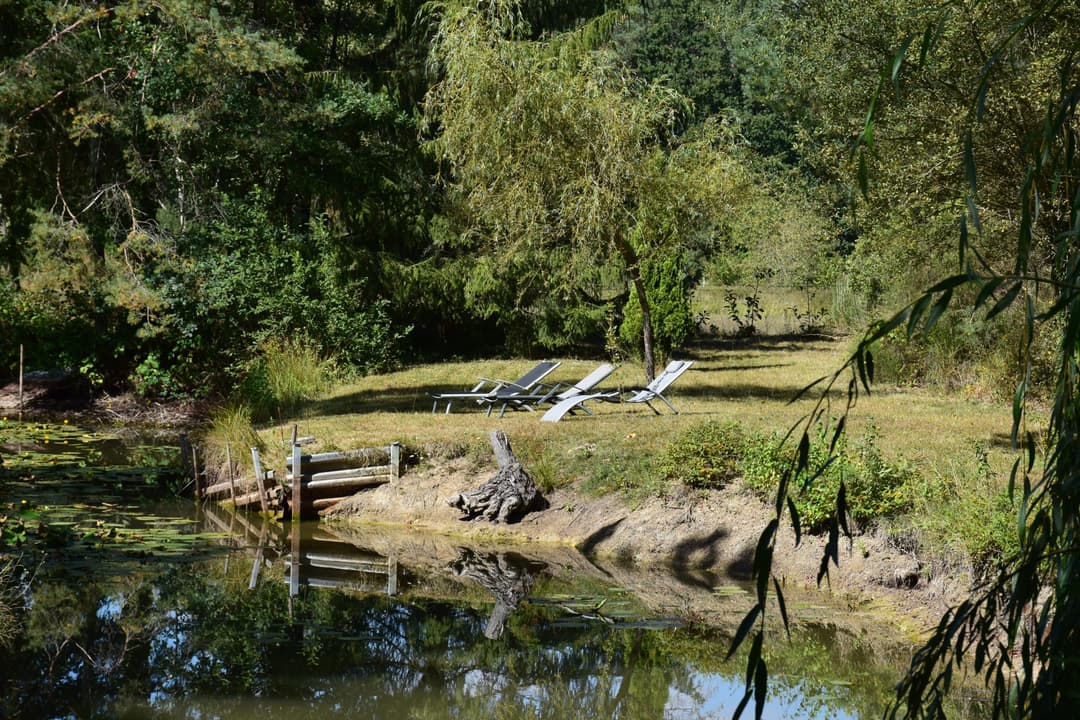 Chalet tout confort pour 4 personnes avec son étang privé 
