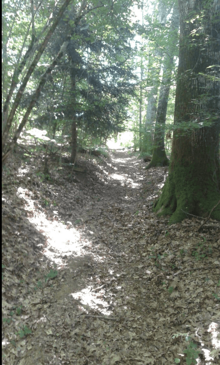 Cabane tente au cœur de la nature avec un accès privatisé à la rivière 