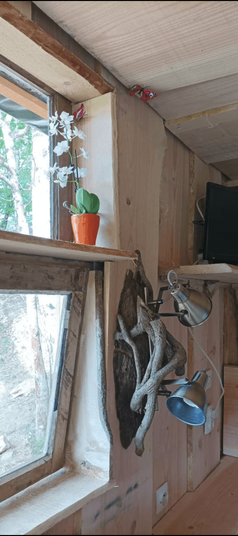 Cabane en bois avec accès privatisé sur la rivière 