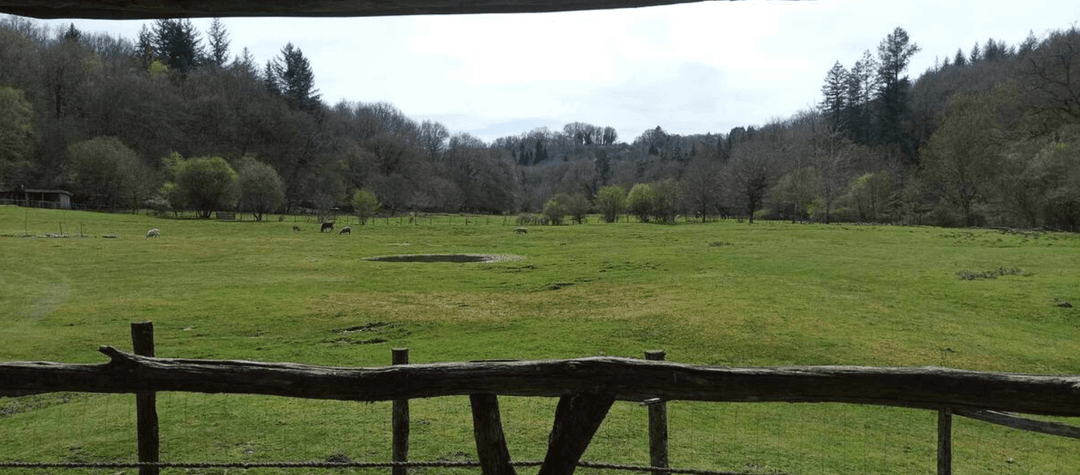 Cabane en bois perchée sur pilotis avec accès privé à la rivière 