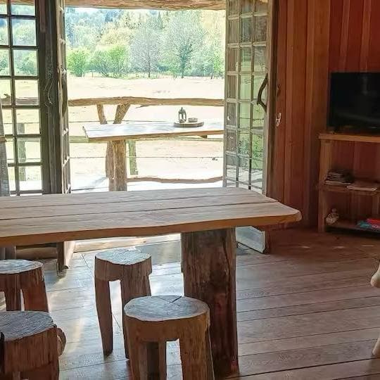 Cabane en bois perchée sur pilotis avec accès privé à la rivière 