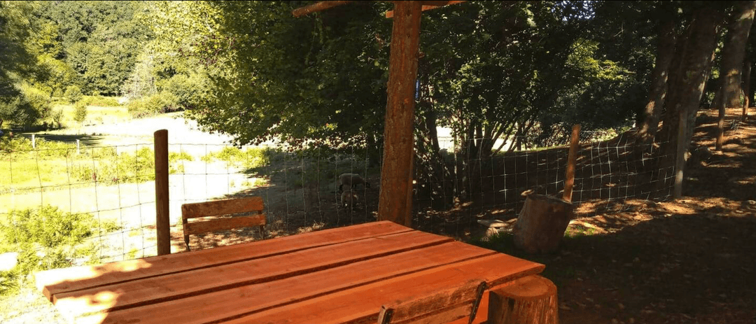 Cabane tente au cœur de la nature avec un accès privatisé à la rivière 
