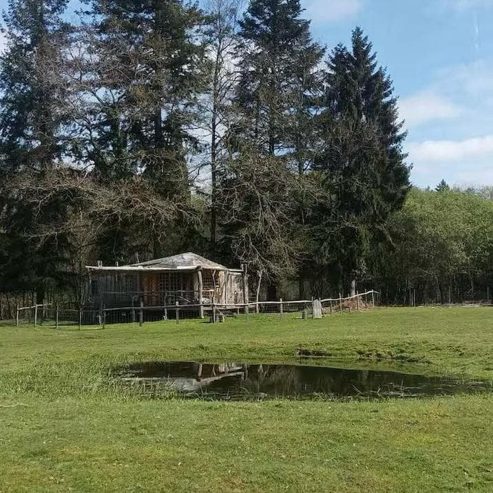 Cabane en bois perchée sur pilotis avec accès privé à la rivière 