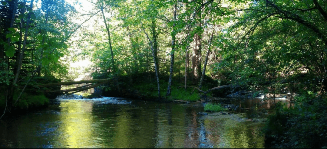 Cabane tente au cœur de la nature avec un accès privatisé à la rivière 
