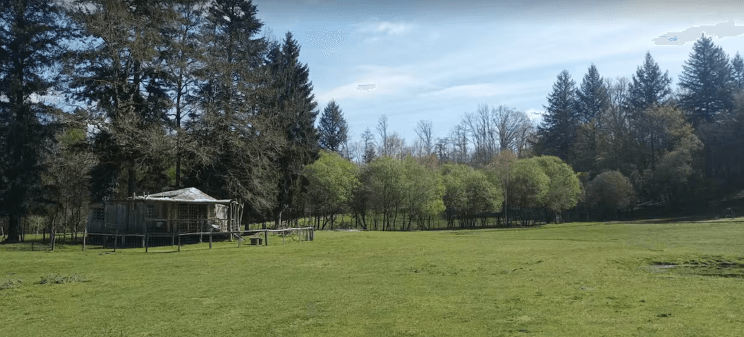 Cabane en bois perchée sur pilotis avec accès privé à la rivière 