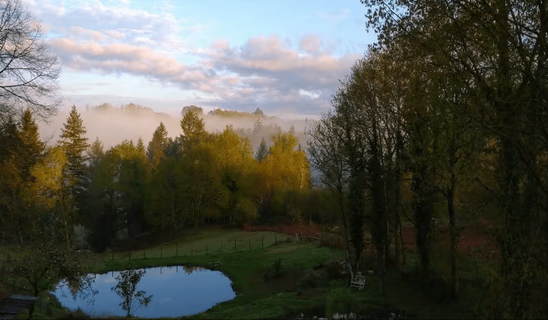 Cabane en bois avec accès privatisé sur la rivière 