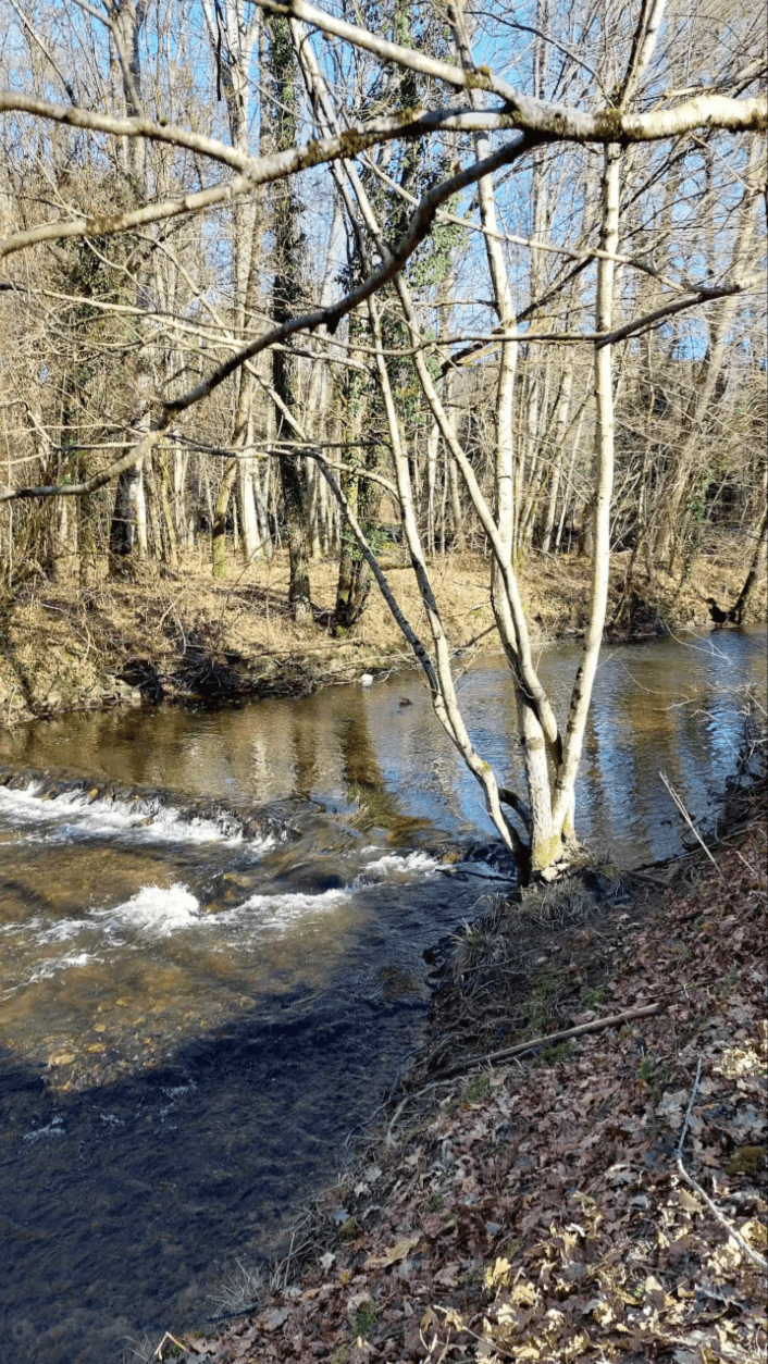 La cabane au fil de l’eau 