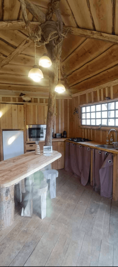 Cabane en bois perchée sur pilotis avec accès privé à la rivière 