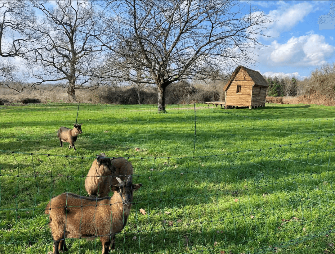 Le gîte du bonheur 