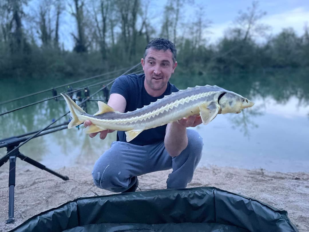 Gravière de 3 ha pour pêcher ou passer un moment dans la nature 