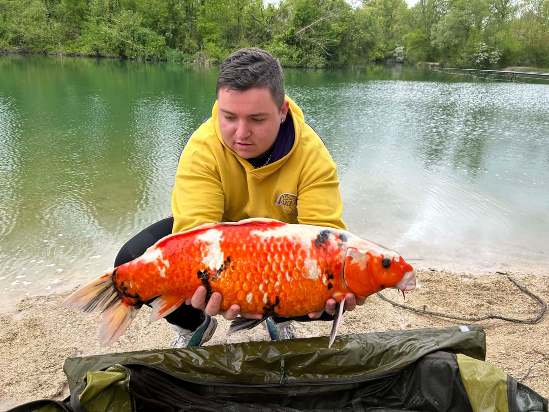 Gravière de 3 ha pour pêcher ou passer un moment dans la nature 