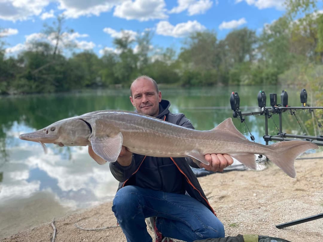 Gravière de 3 ha pour pêcher ou passer un moment dans la nature 