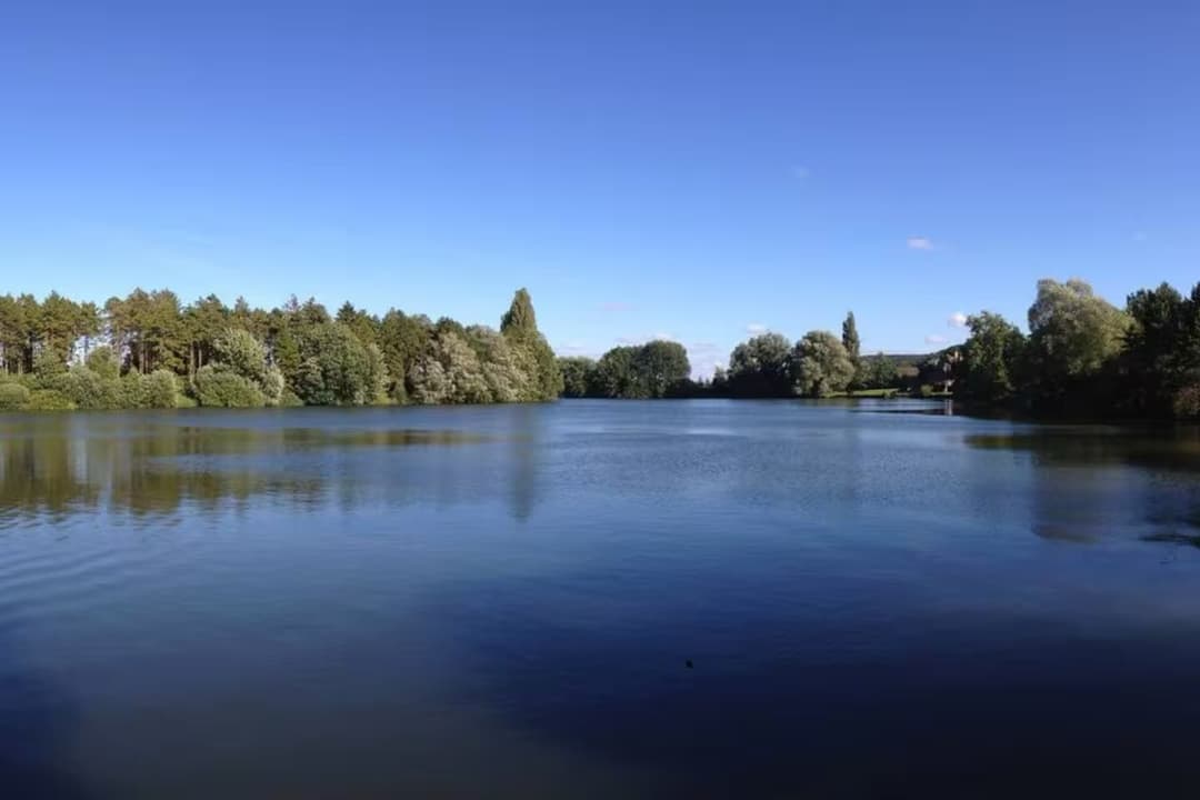 Grand gîte pour 30 personnes entre lac et forêt 