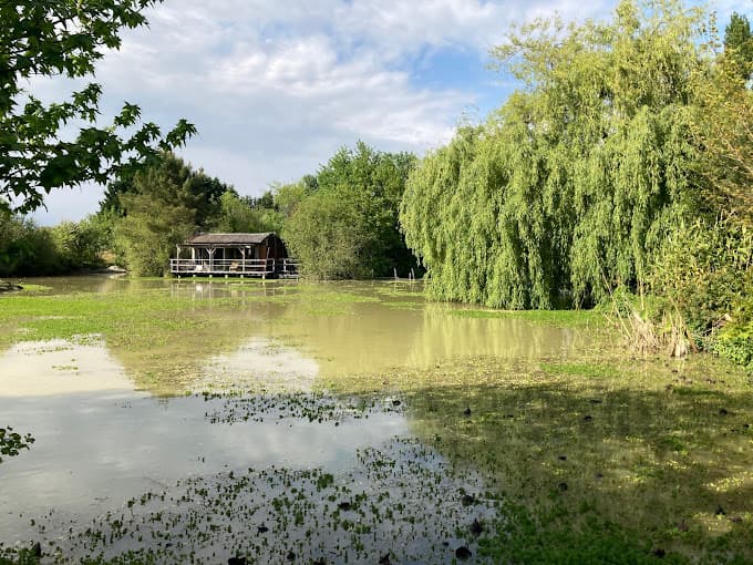Cabane cosy devant un étang privé 