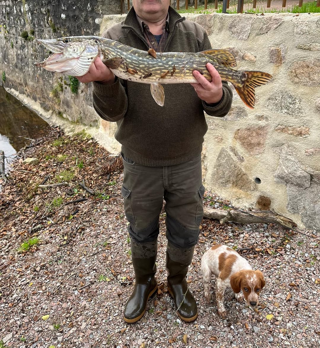 Gite dans l’ancien moulin du chateau avec étang privé de 15 ha 