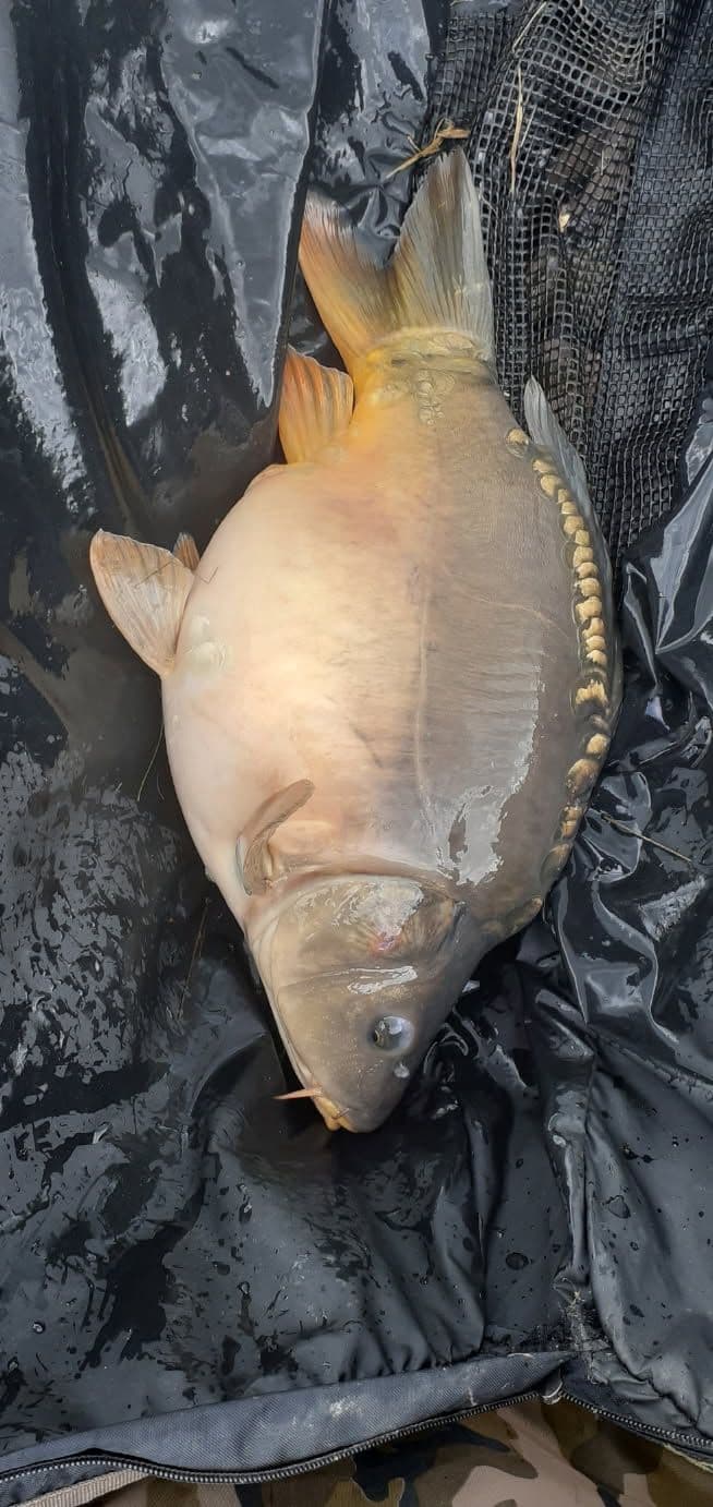 Gravière de 1,7ha avec une forte population de poissons! 