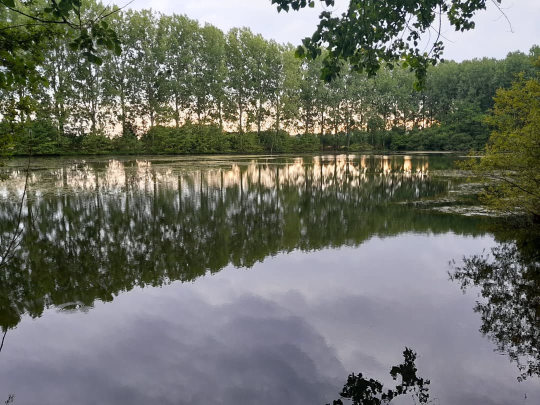 Gravière de 1,7ha avec une forte population de poissons! 