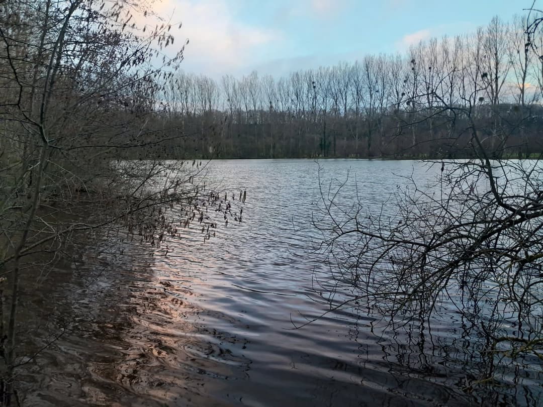 Gravière de 1,7ha avec une forte population de poissons! 
