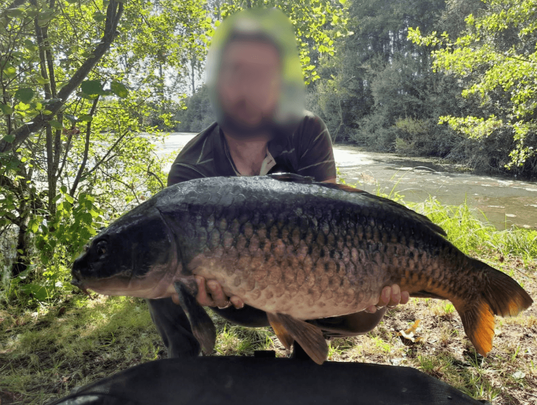 Gravière de 1,7ha avec une forte population de poissons! 