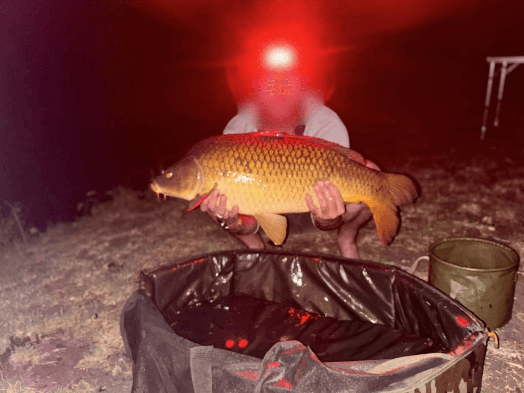 Gravière de 1,7ha avec une forte population de poissons! 