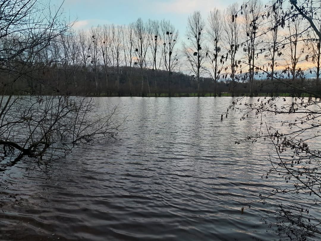 Gravière de 1,7ha avec une forte population de poissons! 