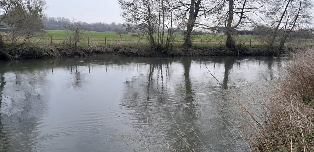 Gravière de 1,7ha avec une forte population de poissons! 