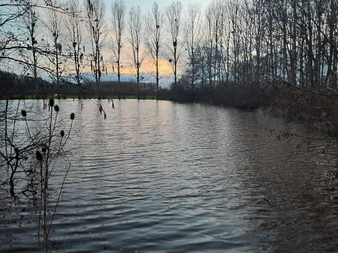 Gravière de 1,7ha avec une forte population de poissons! 
