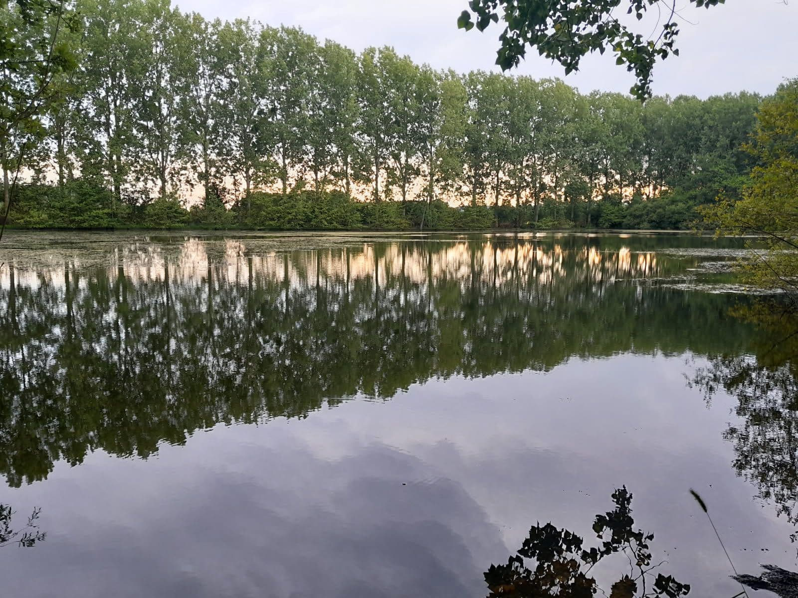 Gravière de 1,7ha avec une forte population de poissons! 