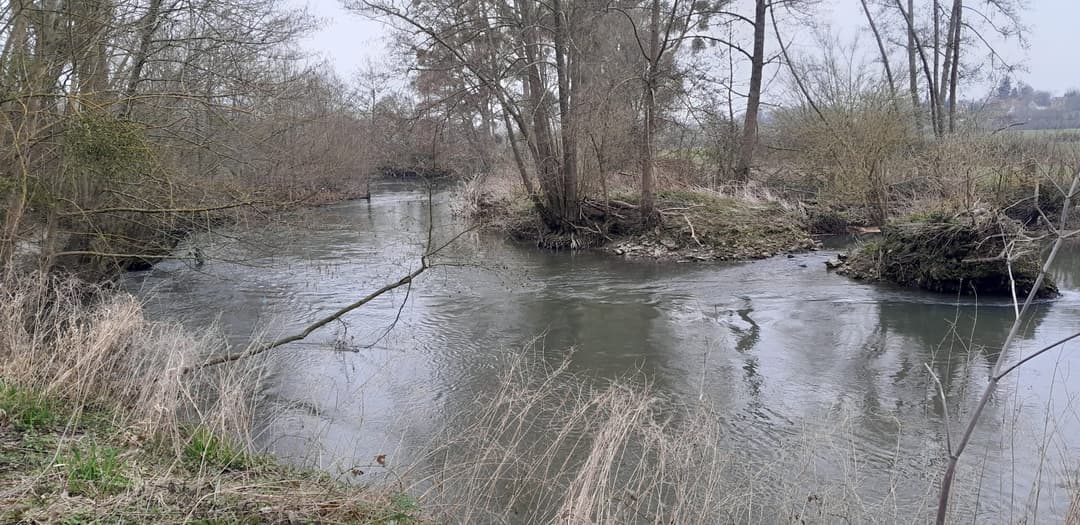 Gravière de 1,7ha avec une forte population de poissons! 