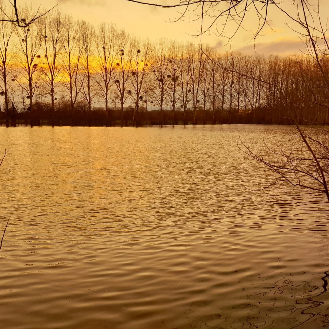 Gravière de 1,7ha avec une forte population de poissons! 