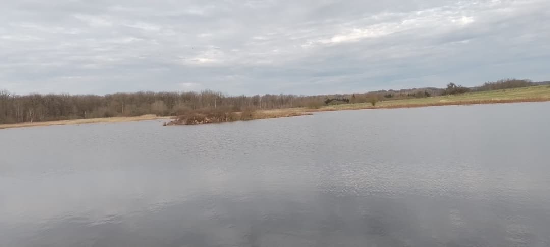 Deux étang de 5ha et 1ha à louer pour pêcher 