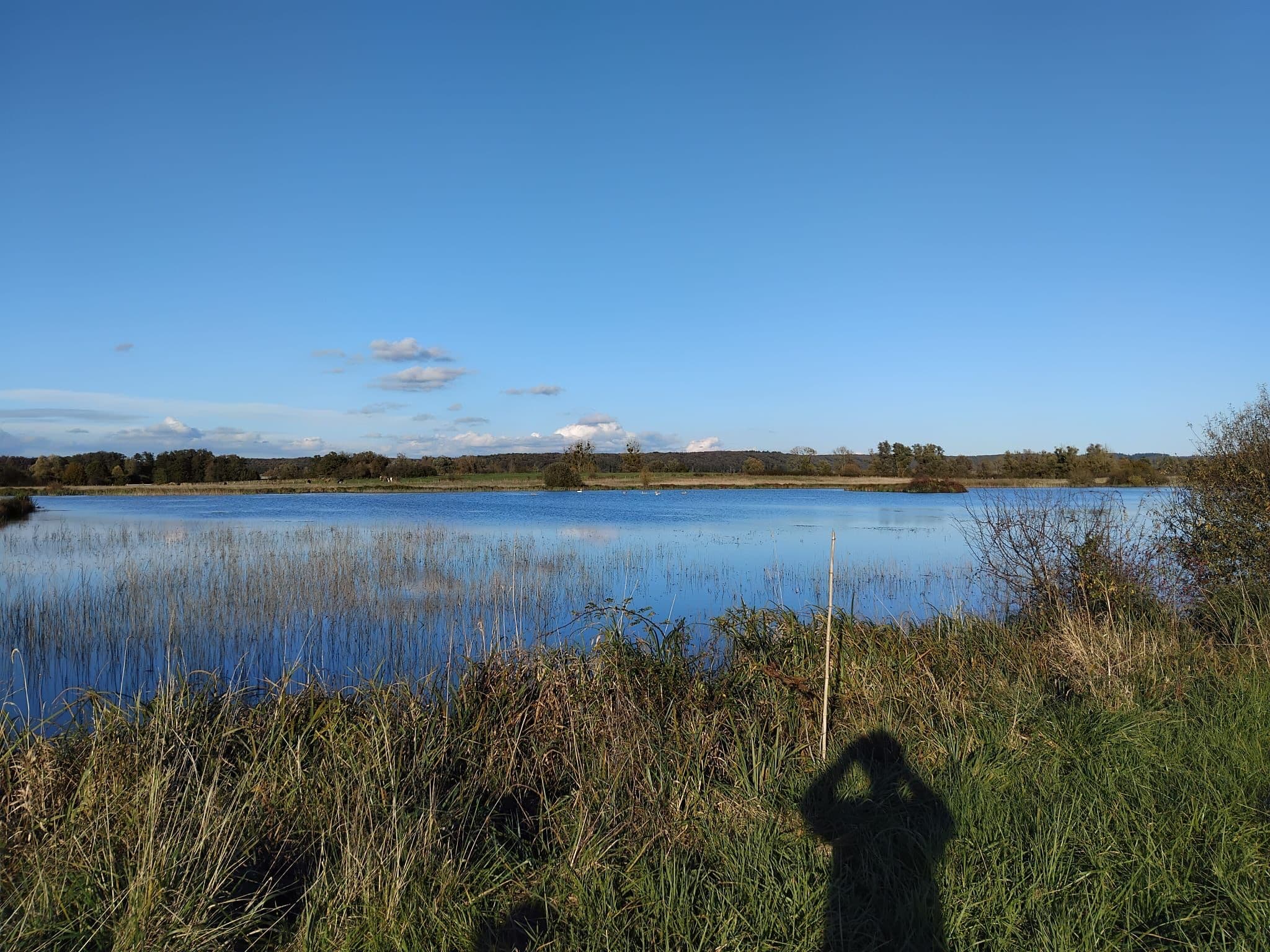 Deux étang de 5ha et 1ha à louer pour pêcher 