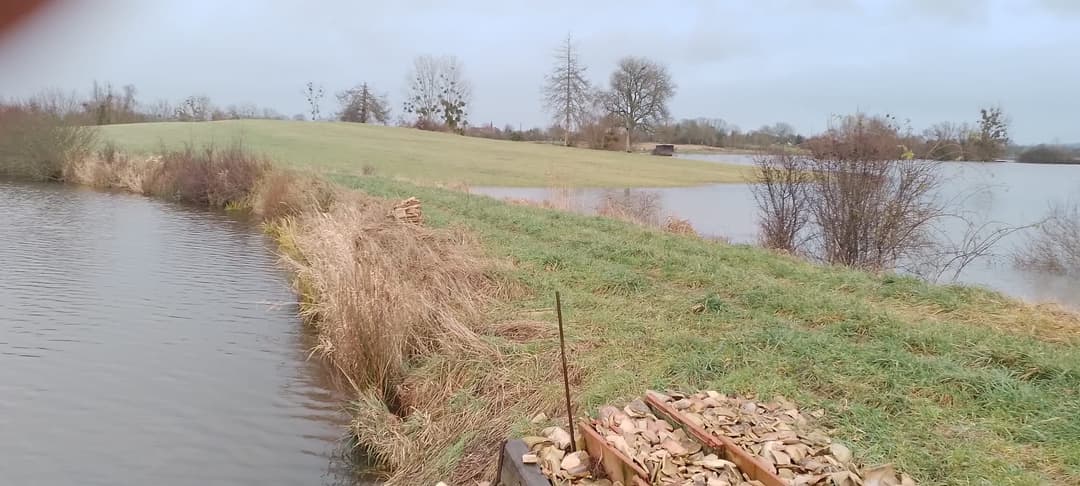 Deux étang de 5ha et 1ha à louer pour pêcher 